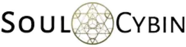 SoulCybin